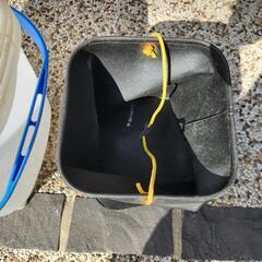 釣りのバケツの画像