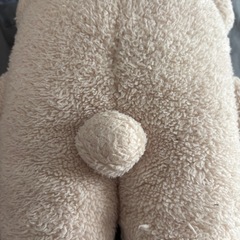 くまさん🐻ぬいぐるみの画像