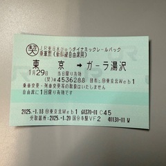 鉄道切符　東京（区内）→ ガーラ湯沢　片道乗車券＋自由席特急券の画像