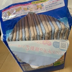 超小型犬用マナーウェアの画像