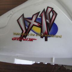 GENIX　スキー靴　20cm JX10　スキーブーツ　ウィンタースポーツ　冬　スポーツ用品の画像