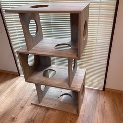 キャットタワーの画像