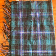 素敵なショールの画像