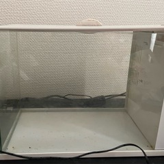 ジェックス ラクテリアホワイト アクアリウム水槽の画像