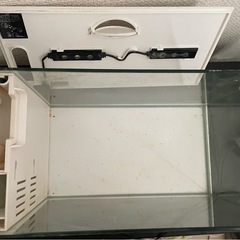 ジェックス ラクテリアホワイト アクアリウム水槽の画像