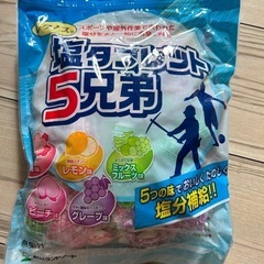 塩タブレット　500g