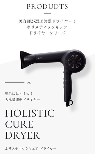 ホリスティックキュア ドライヤー 黒