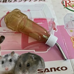 ⭐︎値下げ⭐︎ハムスター飼育キット の画像
