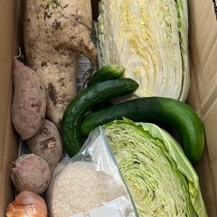 野菜セット→3セットのみ
