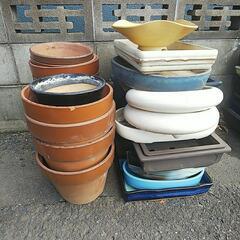 植木鉢 差し上げます