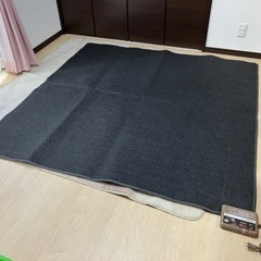 電気カーペット　パナソニックの画像