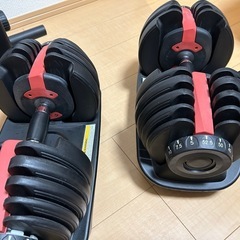 TOP SLIM可変式ダンベル の画像