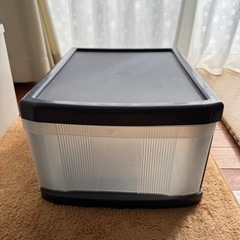 収納ボックス 衣類収納 エミングストッカー 1段 