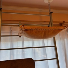 キャットタワーの画像