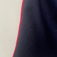 子供用チャンピオン上下
の画像
