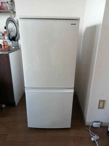安心の1年保証つき【トレジャーファクトリー入間店】SHARP 137L 2ドア冷蔵庫のご紹介！ - 冷蔵庫