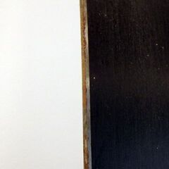 新札幌 カービングスキー板  DYNASTAR LEGEND W80 2018-2019 165㎝ ストック付き / No.3108の画像