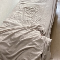 折りたたみ式ベッドの画像