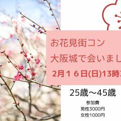 梅の花が結ぶ特別な出会い♡25歳～45歳大阪城・梅林で会いましょう
