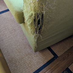 取りに来てくだくださる方へ差し上げますの画像