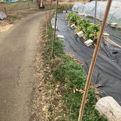 金属の支柱２本　セメント土台　曲がっていますの画像