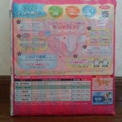マナーウエア　女の子用　SSの画像
