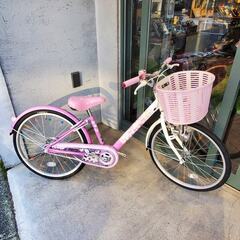 BRIDGESTONE 子供用自転車 ブリヂストン エコパル 22インチ