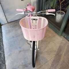 「新車」在庫一台限り/BRIDGESTONE/エコパル/22インチの画像