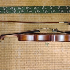 Hallstatt V-12 Violon Hallstatt ケース付属品ありの画像