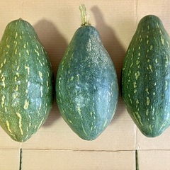 万次郎かぼちゃ　3個　かぼちゃ　カボチャ　南瓜　2501251