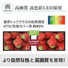 オリオン（Orion）32型液晶テレビ