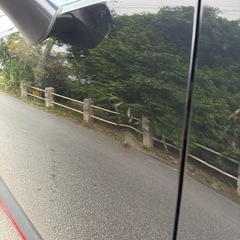 ディーゼル　CX-3の画像