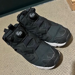 リーボック Reebok インスタポンプフューリー INSTAPUMP FURY の画像