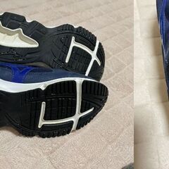 大阪市東淀川区相川　　大阪高等学校　　男子　運動靴/上靴　26㎝の画像