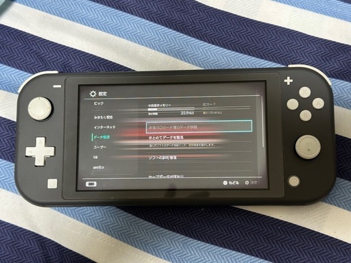 【ジャンク品】Nintendo Switch Lite