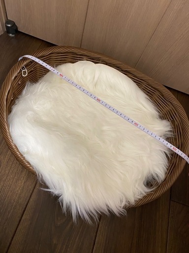 ニューボーンフォト　セット　早めにどうぞ