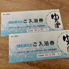【2月中】富谷ゆっぽ　入浴券2枚セット