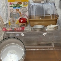 ハムスター飼育セット