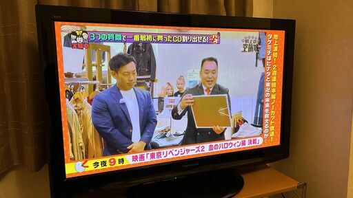 パナソニック VIERA TH-P42S2 液晶テレビ