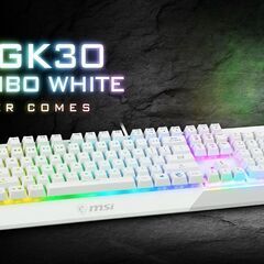 [MSI] Vigor GK30 White キーボード