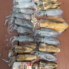 釣りメンバー募集 − 愛知県