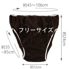 ペーパーショーツ　使い捨てパンツの画像