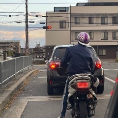 シグナスxの画像