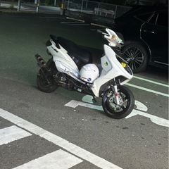 シグナスxの画像