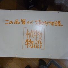  田中麗奈　LION植物物語　販売促進品「看板」の画像