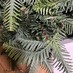 クリスマスツリーの画像