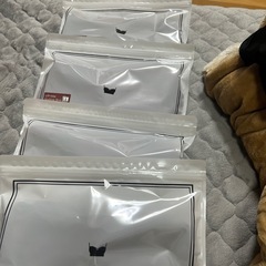 ナイトブラの画像