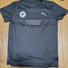 プーマ　ジュニアトレーニングシャツ