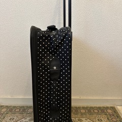 お譲り先決定の画像