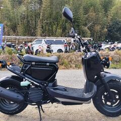 🛵..ホンダ ZOOMER ズーマー 原付きスクーター 中古車 実働 AF58の画像